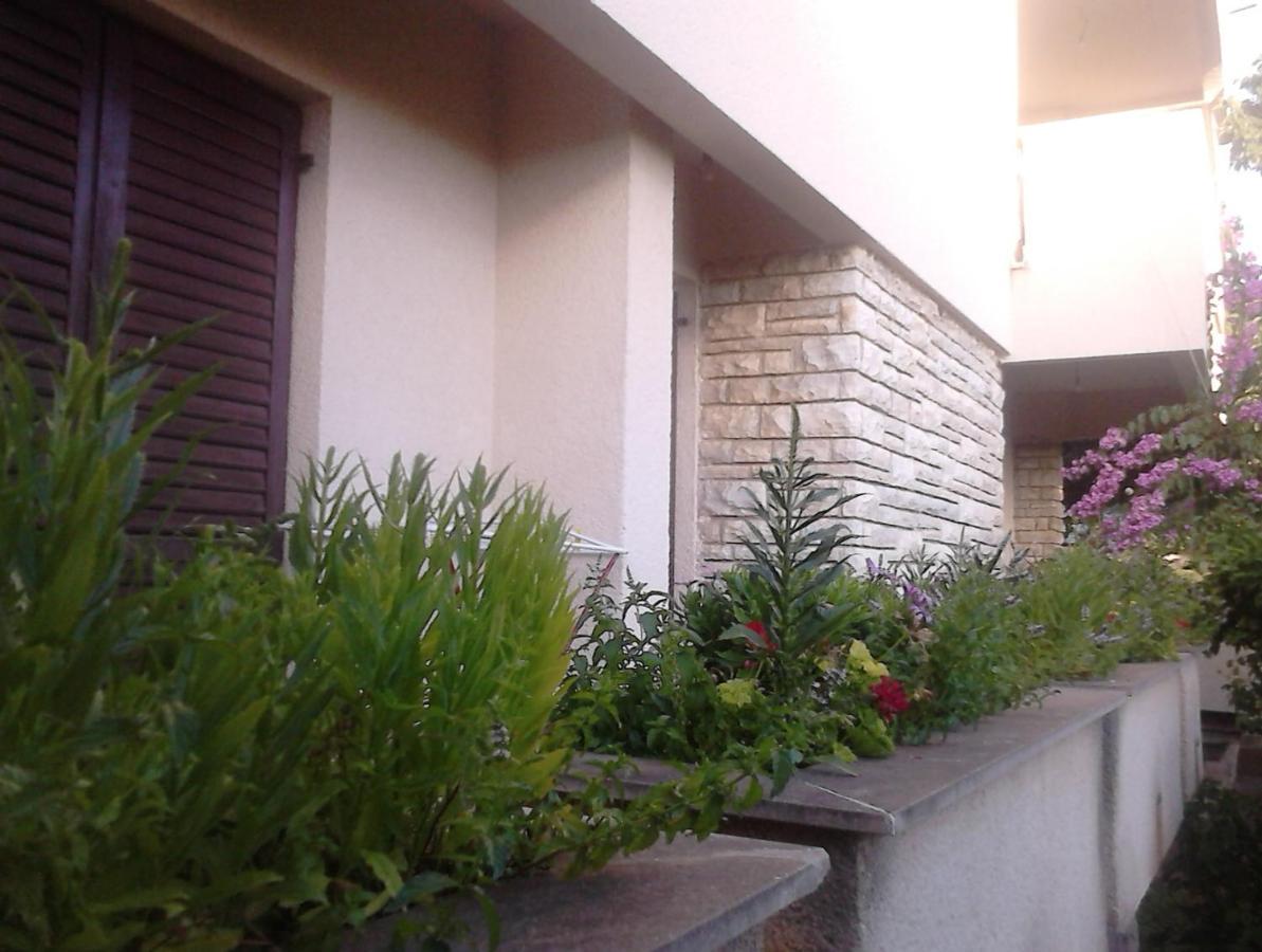 Apartments With A Parking Space Zadar - Diklo, Zadar - 13327 Exterior foto